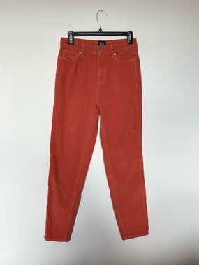 UO Urban Outfitters BDG Rust Orange Corduroy Pants Mom Highrise